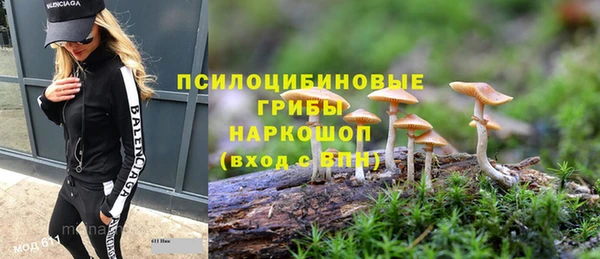 винт Алзамай