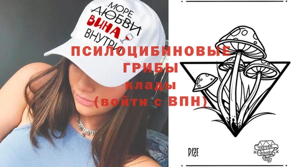 винт Алзамай