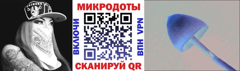 мега ссылка  Разумное  Галлюциногенные грибы мицелий 